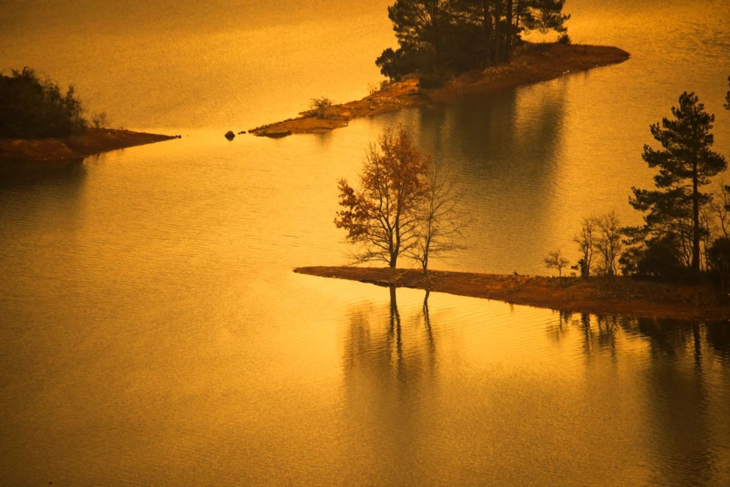 福建人民出版社、大夢(mèng)書屋聯(lián)合舉辦“福建如你 —— ‘福建的世界遺產(chǎn)’”叢書讀者見面會(huì)