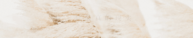 臨門一腳——2020年高考作文沖刺 夢(mèng)山教育論壇Vol.02 · 活動(dòng)預(yù)告