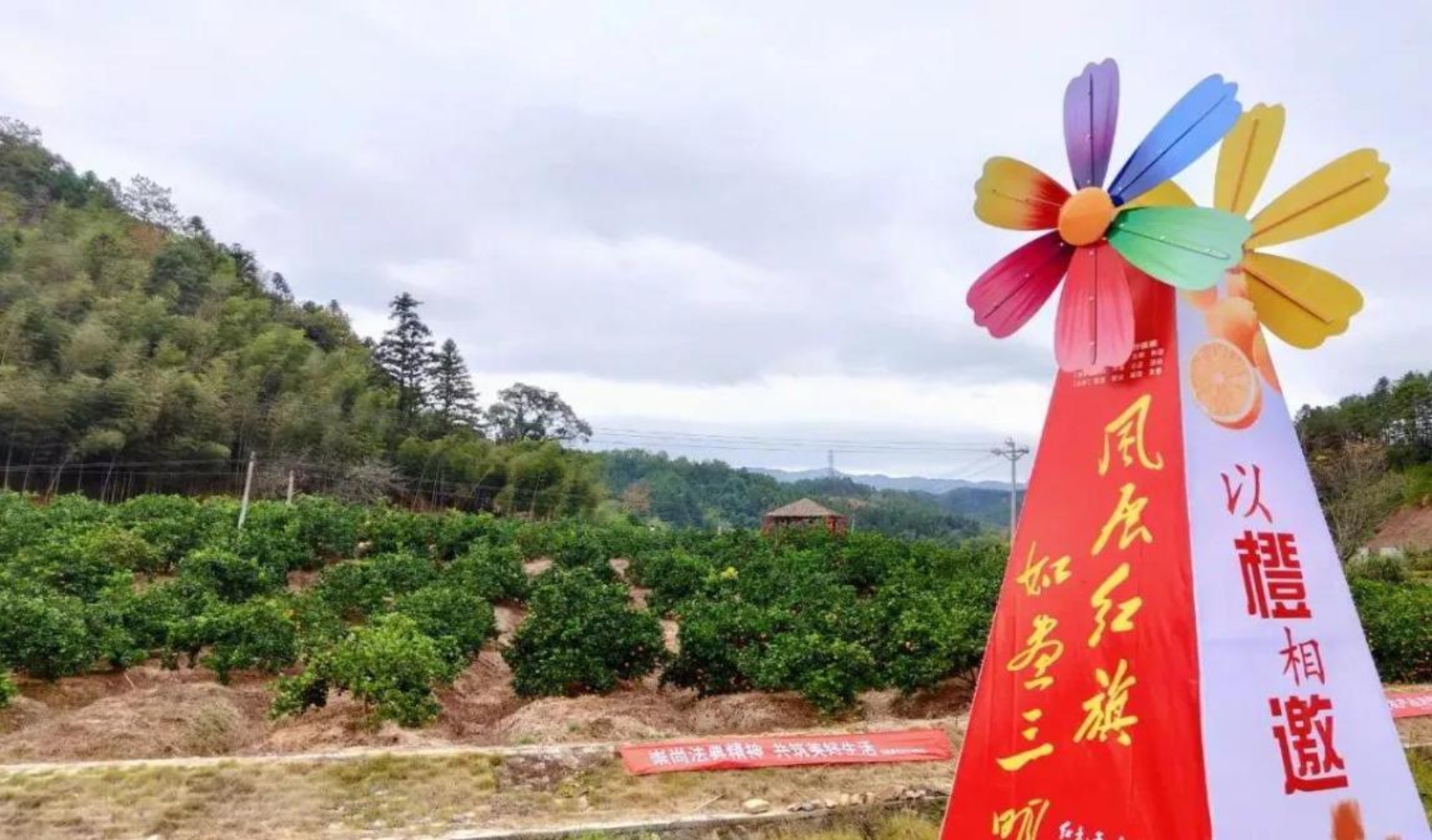 微信圖片_20201201172741