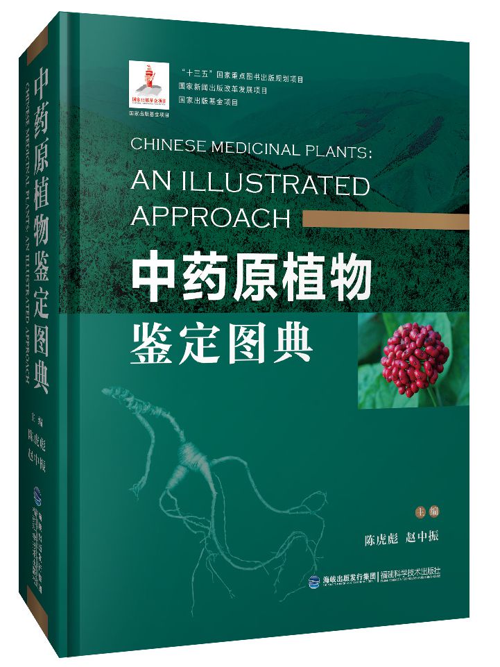 中藥原植物鑒定圖典