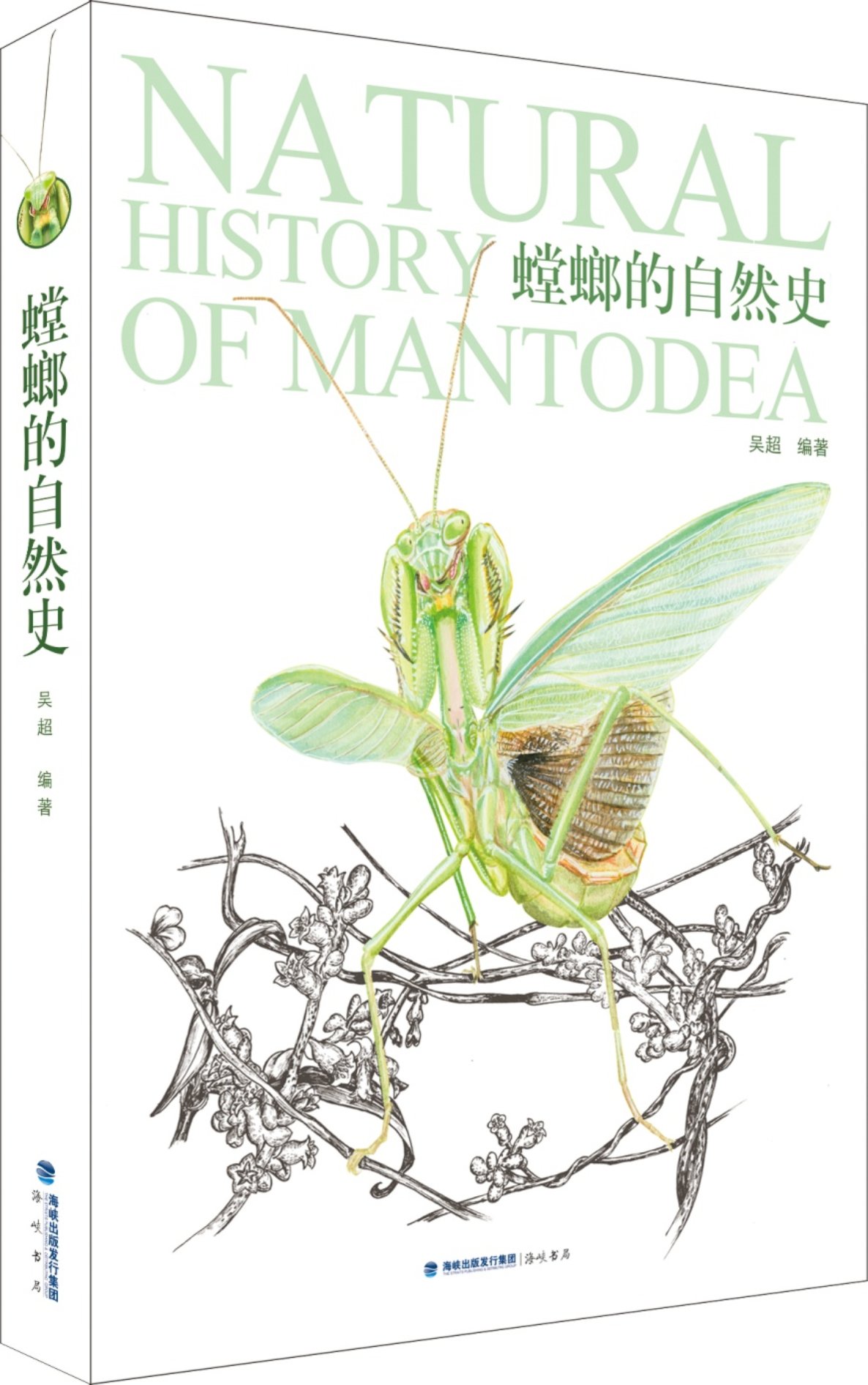 螳螂的自然史.jpg